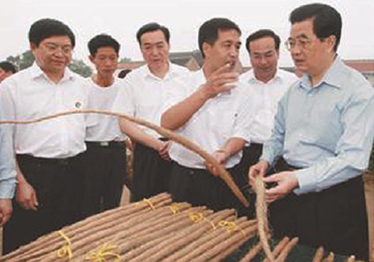 小山药变身大产业 国家主席胡锦涛殷切关注